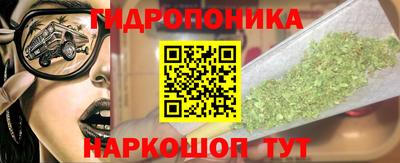 индика Кандалакша