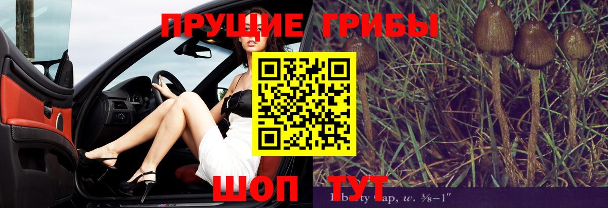 Галлюциногенные грибы GOLDEN TEACHER Луга