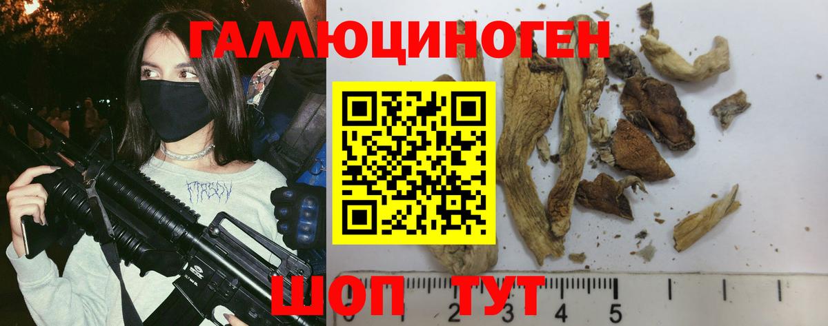 Галлюциногенные грибы мухоморы  Вход с VPN  Луга 