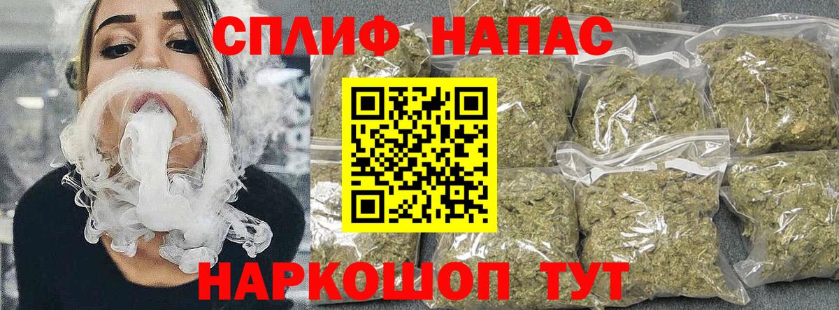 МАРИХУАНА конопля Луга